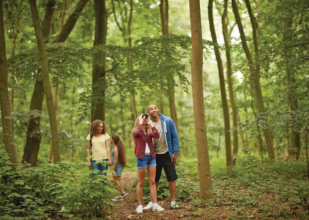 Wigbay Holiday Park Kirkcolm Zewnętrze zdjęcie